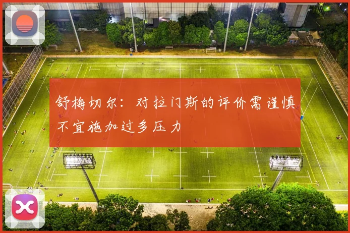 舒梅切尔：对拉门斯的评价需谨慎不宜施加过多压力