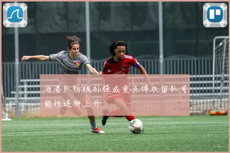海港队防线补强成重点傅欢留队可能性逐渐上升