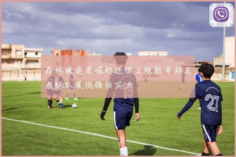 森林狼逆袭崛起连续击败胜率超五成球队展现强劲实力